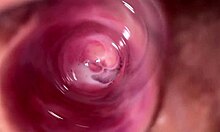 Kotitekoinen video neitsytpuolisiskoista, jotka ensimmäistä kertaa masturboivat ja näyttävät kermaisen pillunsa